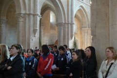 Assegnazione-Targhe-CAS-2011-001