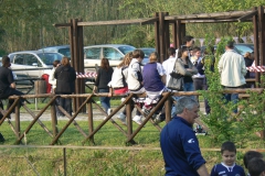 Assegnazione-Targhe-CAS-2011-008