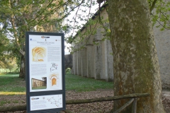Assegnazione-Targhe-CAS-2011-012