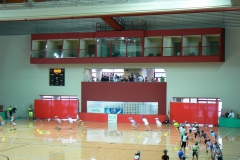 Campionati_Italiani_Indoor_Novara_2010_00076