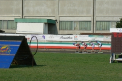 ItalianiStradaSalizzole2013_087