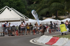 CampionatiItalianiStrada20110066