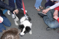 RegionaliStradaLatina2012_079