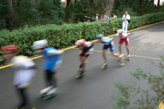 Trofeo_Marina_Di_Grosseto_2010_00311